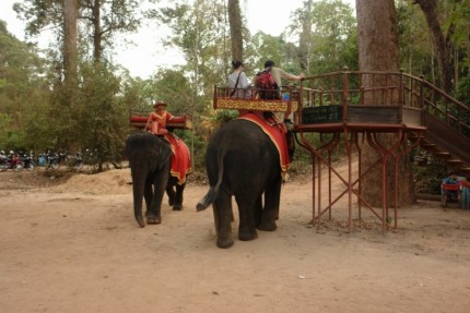 Elephant rides to Phnom Bakheng Temple - Cambodia