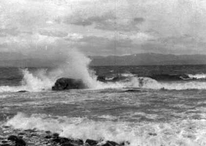 surf's up