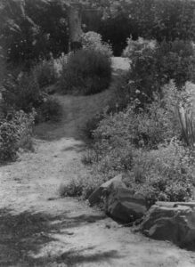 Garden Path