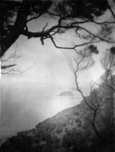 view from Kapiti