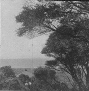 view over house