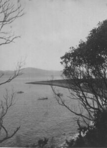 Rangitira Bay