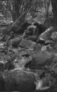 Kapiti stream