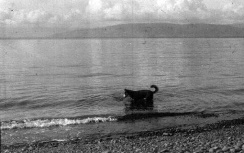 Fishermans Bay