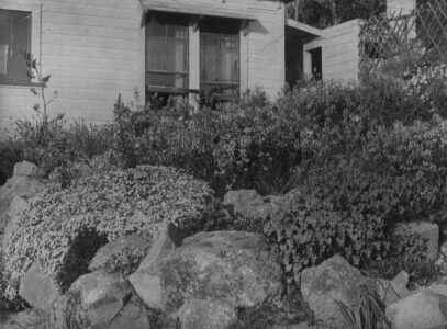 Rock Garden