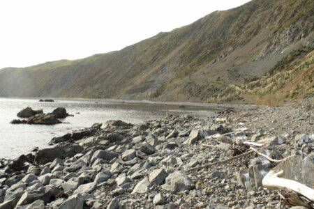 Coastal walk towards Pukerua Bay