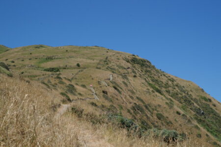 Highest point