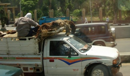 Crazy Cairo Traffic