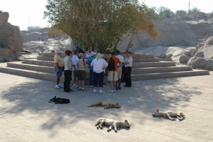 Mad dogs and Englishmen go out in the midday sun - visting a quarry