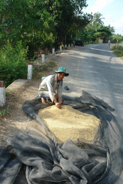 Grain farmer 