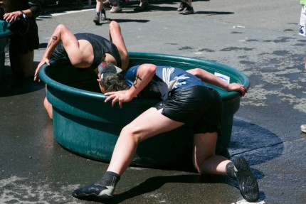 Trying to grab a rubber calf teat from the bottom of the water tank - no hands allowed.