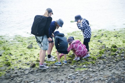 Catching crabs