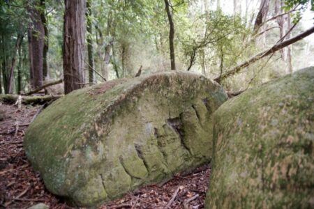 Whitecliffs Boulders, Mangaweka, New Zealand 4 - 21st April 2012 - Ray Lovell