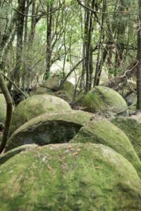 Whitecliffs Boulders, Mangaweka, New Zealand 7 - 21st April 2012 - Ray Lovell