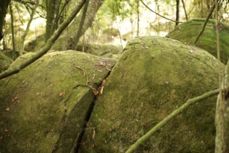 Whitecliffs Boulders, Mangaweka, New Zealand 8 - 21st April 2012 - Ray Lovell