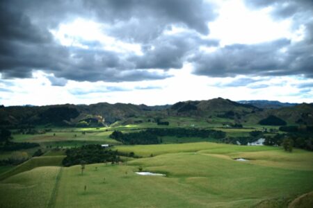 Mangaweka, New Zealand 11 - 21st April 2012 - Ray Lovell
