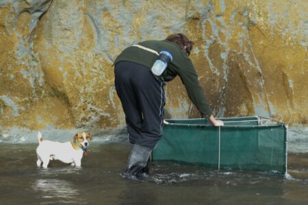 Whanganui - Kai-iwi Beach 12 August 2013 - Kai-iwi Beach - Ray Lovell