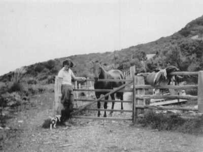 Horsing about on Kapiti