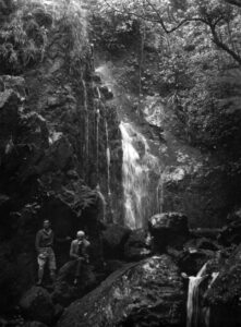 Kaiwharawhara Waterfall Kapiti