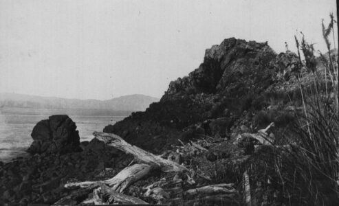Kapiti Landscape