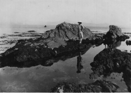 Mrs Wilkinson by rock pools at low water