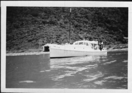 Ngatea near boat shed