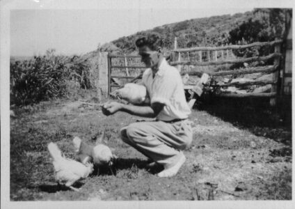 Ray WILKINSON feeds the chooks
