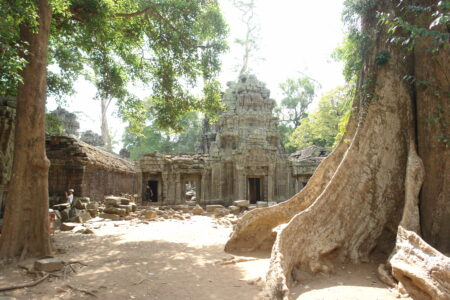 Ta Prohm Temple, Sein Reap, Vietnam