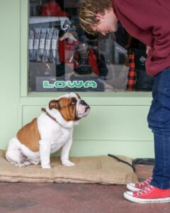 What do you think of it so far????