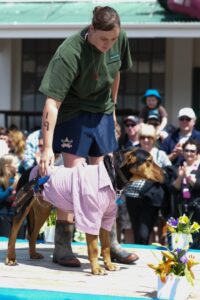 A chap... note the pocket knife