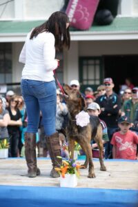 A beautiful girl - a real bitch actually