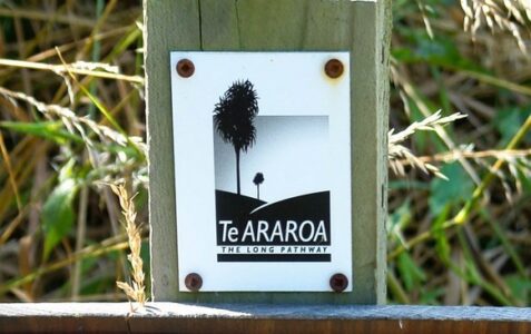 Te Araroa
The Long Pathway