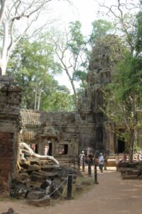 Still standing - just. Ta Prohm Temple - Cambodia