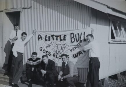 A little bull goes a long way